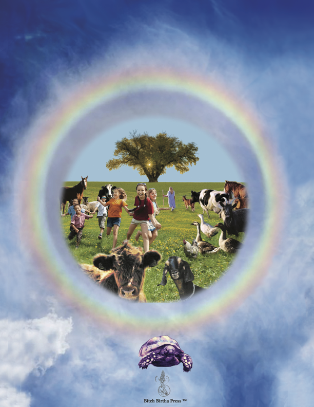 Back cover of book