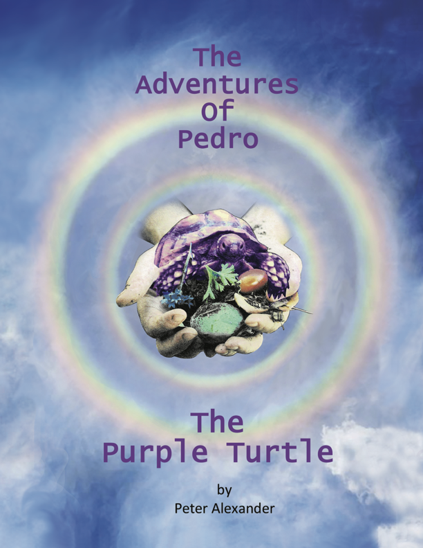 Front Cover of Book